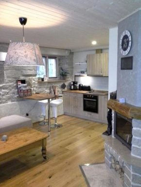 Saue 1 Apartment in Tallinn